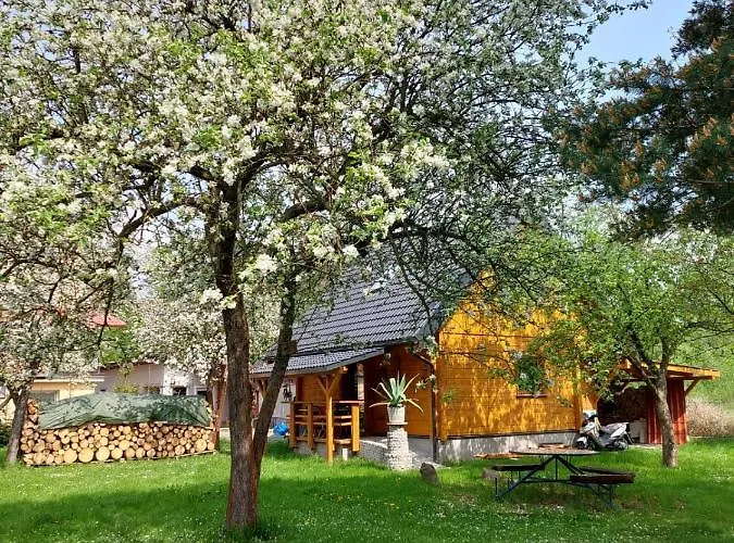 Eva - Zdrój Centrum * Polanica-Zdrój