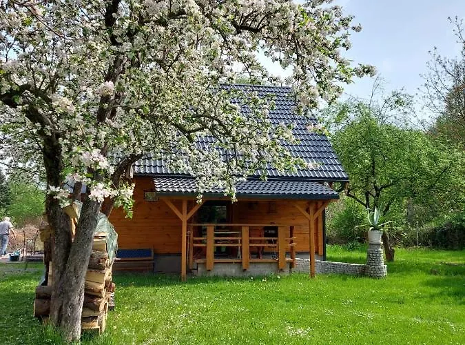 Eva - Zdrój Centrum Dom wakacyjny *